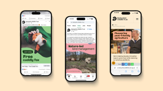 Derbyshire Wildlife Trust social media posts